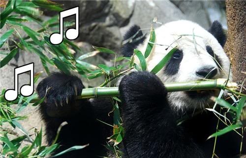 Panda jouait du pipeauà Matt quand il le questionnait sur ses horaires de boulot.